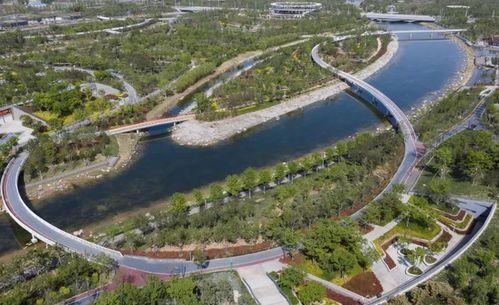 郑州双鹤湖最新爆料,未来城市新地标崛起