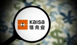 佳兆业爆料最新消息,揭秘企业动态与未来走向