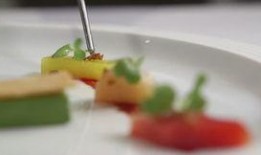 食物爆料视频大全最新下载,食物爆料视频大全最新下载盘点