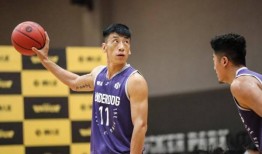 王晶篮球爆料最新消息,最新动态揭秘篮球界热点事件