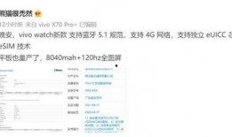 icc最新爆料,揭秘国际足坛重大事件内幕