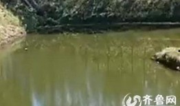 鱼塘爆料大全视频最新,揭秘娱乐圈最新热点事件