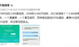 1999最新版本爆料,那些不为人知的秘密与真相